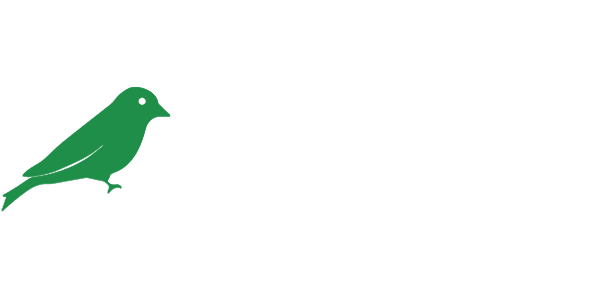 Birdcreek2